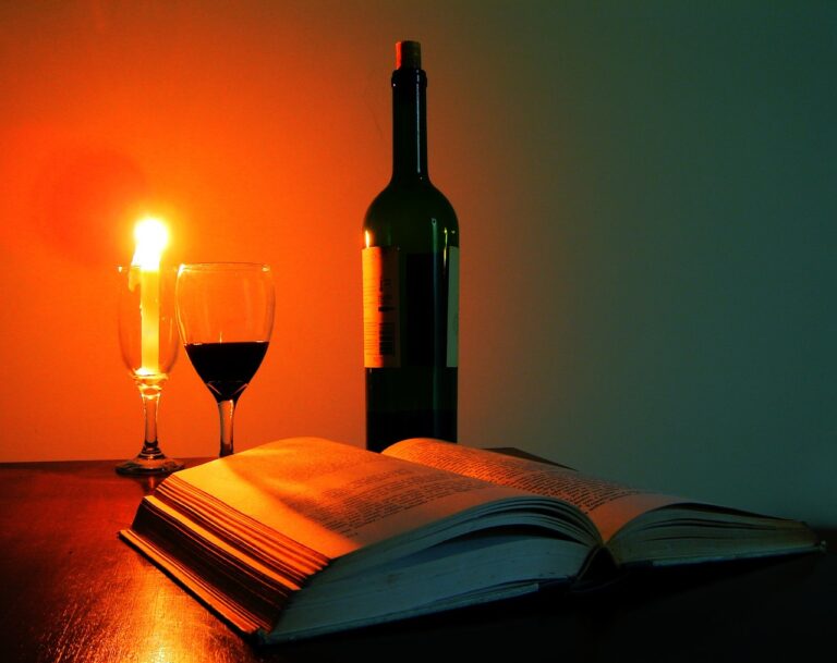 glass of wine, book, candle-140220.jpg